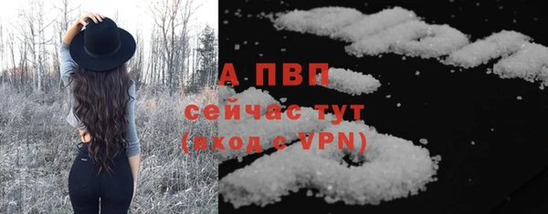 стафф Коряжма