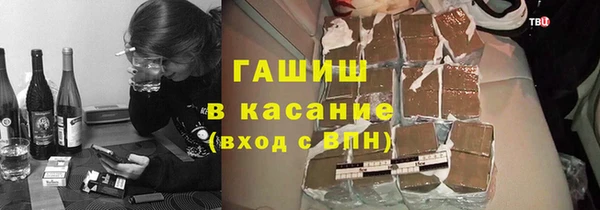стафф Коряжма