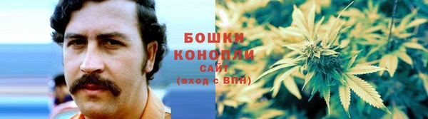 амф Костерёво