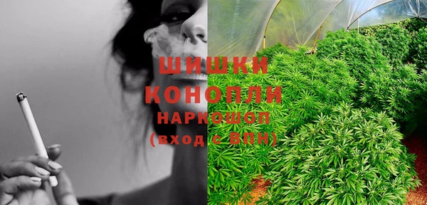 стафф Коряжма