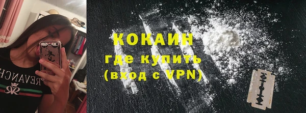 стафф Коряжма