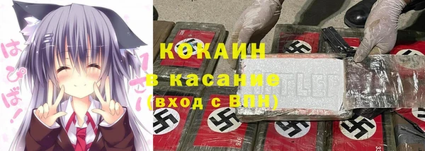 спайс Корсаков