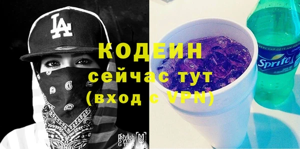 стафф Коряжма