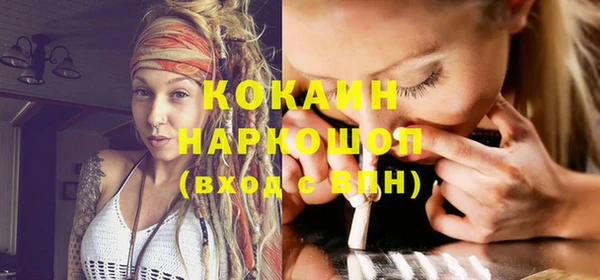 спайс Корсаков
